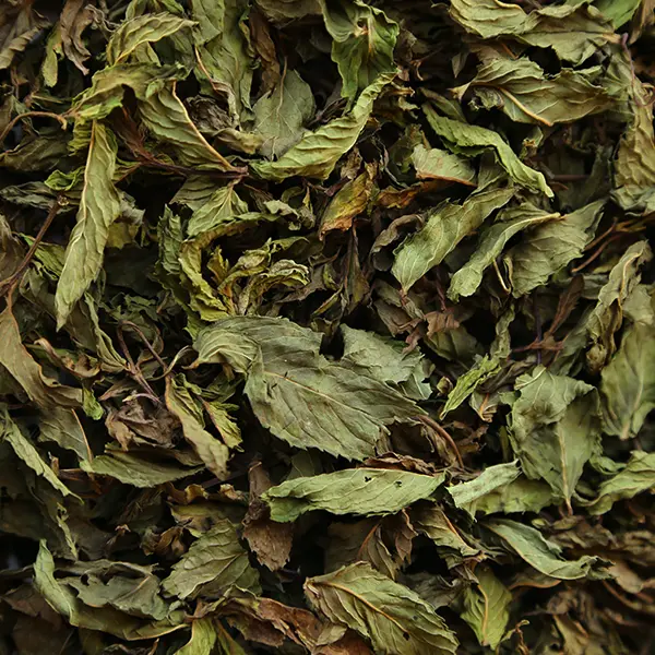 تصویر 5 از قیمت نعناع خشک سوپر صادراتی + خرید عمده با تضمین